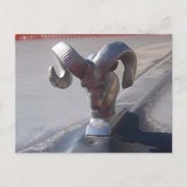 Silver Ram Vykort