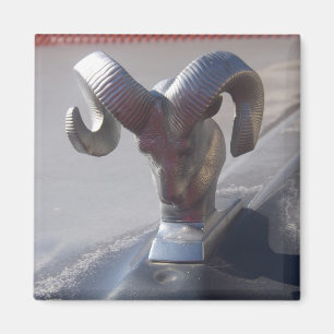Silver rammar magnet