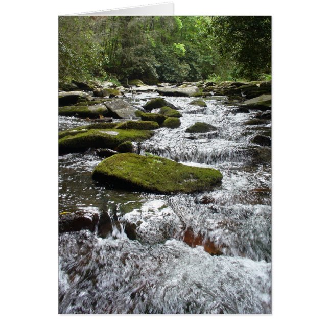 Silver Rapids OBS Kort (Framsidan)