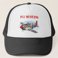Silver-Rött flygplan för Mustang P51