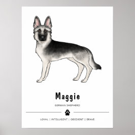 Silver Sable tysk schäferhund och anpassad text Poster