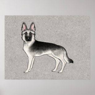 Silver Sable Tysk Schäferhund Söt Hund Illustratio Poster