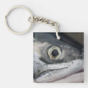 Silver Salmon Ansikte