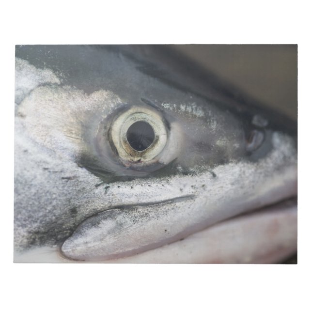 Silver Salmon Ansikte Anteckningsblock (Framsida)