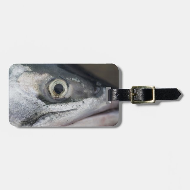 Silver Salmon Ansikte Bagagebricka (Horisontell Framsida)