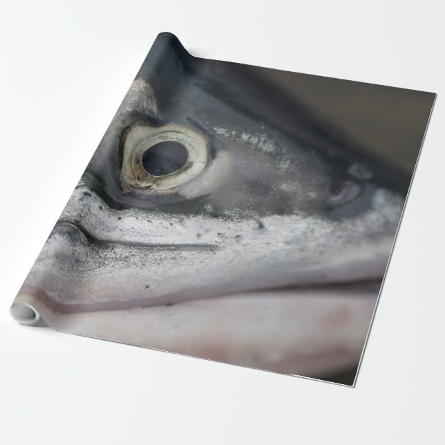 Silver Salmon Ansikte Presentpapper (Utrullad)