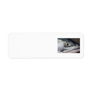 Silver Salmon Ansikte Returadress Etikett