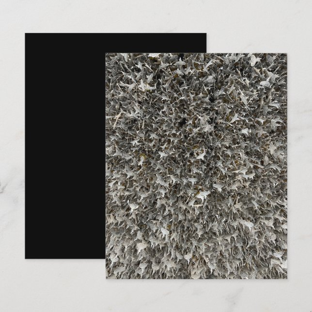 Silver Shaggy Märkres Scrapbook Papper (Fram/baksida)