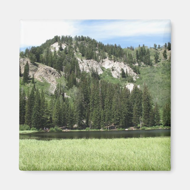 Silver Sjö Magnet (Framsidan)