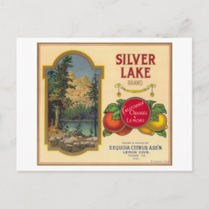 Silver Sjö Orange LabelLemon Cove, CA Vykort