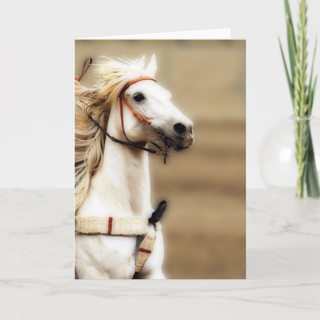 Silver skuggar det tomma inre hälsningkortet kort (Framsida)