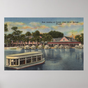 Silver Springs FL - strand beskådar av fartyget Poster
