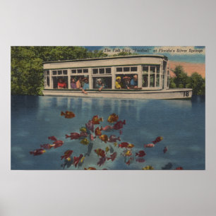 Silver Springs Florida - beskåda av riverboaten & Poster