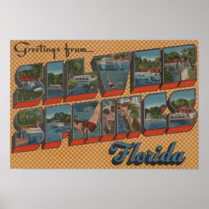 Silver Springs Florida - stora brevplatser Poster