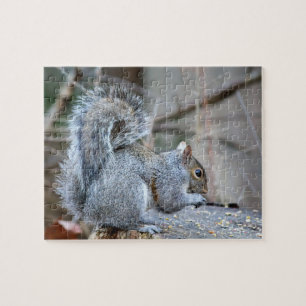 Silver Squirrel Pussel