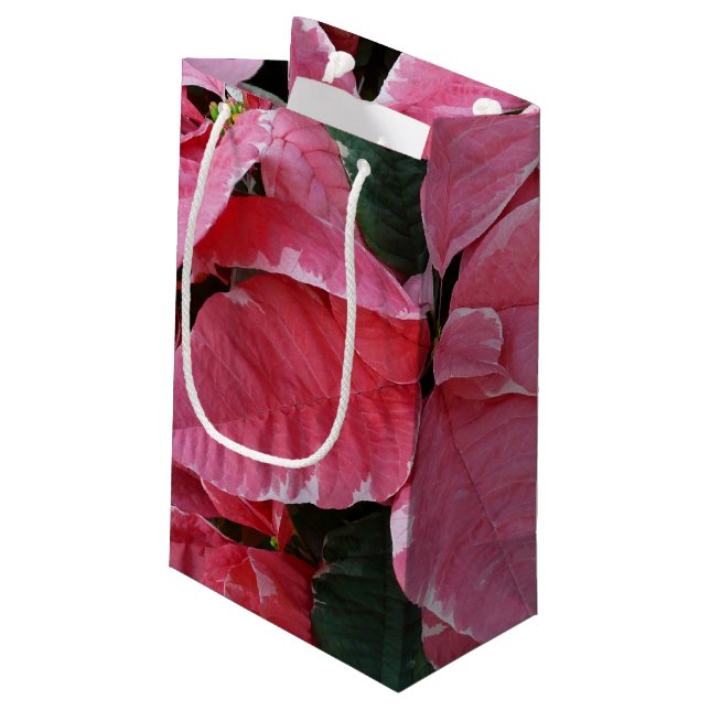 Silver Star Marble Poinsettias Rosa Helgdag Blommi (Baksidan Vinklad)