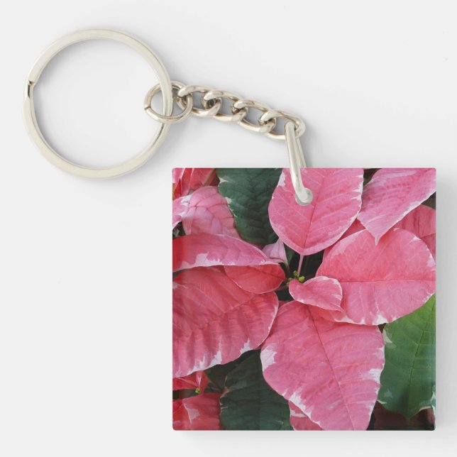 Silver Star Marble Poinsettias Rosa Helgdag Blommi (Framsidan)