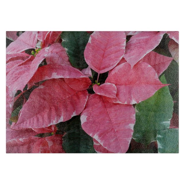 Silver Star Marble Poinsettias Rosa Helgdag Blommi (Framsidan)