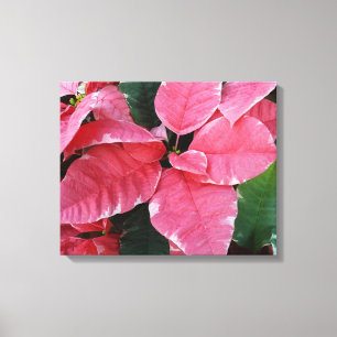 Silver Star Marble Poinsettias Rosa Helgdag Blommi Canvastryck