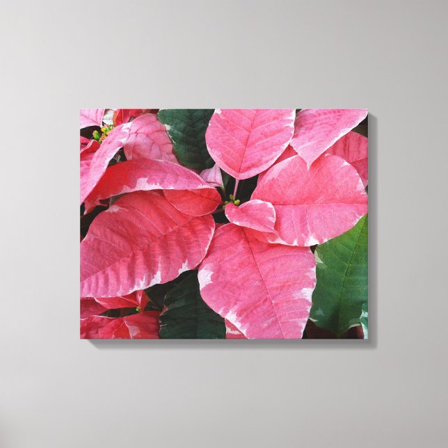 Silver Star Marble Poinsettias Rosa Helgdag Blommi Canvastryck (Framsida)