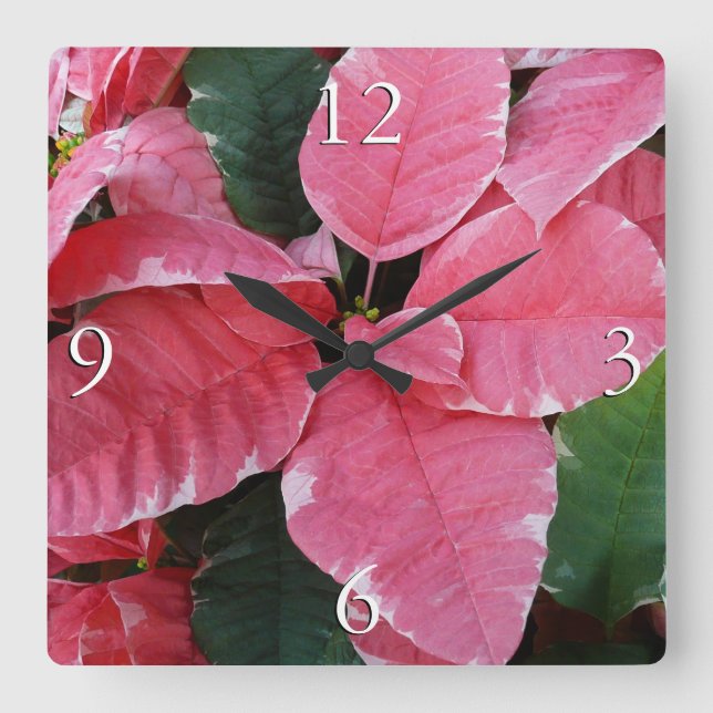 Silver Star Marble Poinsettias Rosa Helgdag Blommi Fyrkantig Klocka (Framsida)