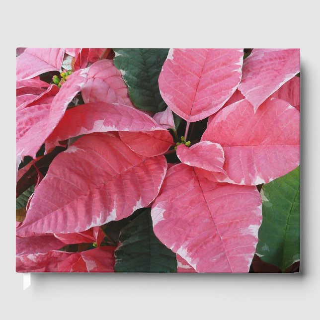 Silver Star Marble Poinsettias Rosa Helgdag Blommi Gästböcker (Framsida)