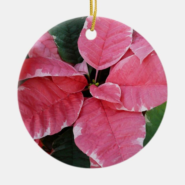 Silver Star Marble Poinsettias Rosa Helgdag Blommi Julgransprydnad Keramik (Framsidan)