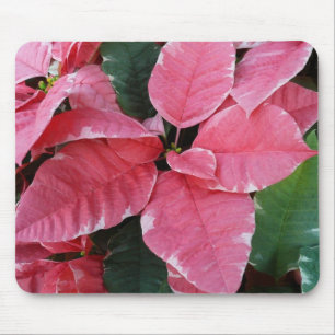Silver Star Marble Poinsettias Rosa Helgdag Blommi Musmatta
