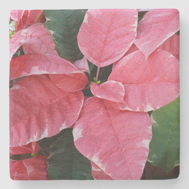 Silver Star Marble Poinsettias Rosa Helgdag Blommi Stenunderlägg (Framsidan)