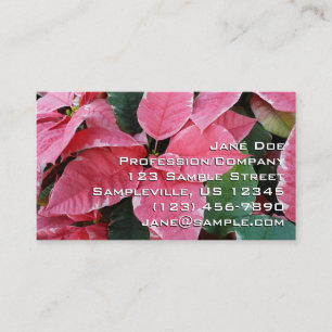 Silver Star Marble Poinsettias Rosa Helgdag Blommi Visitkort