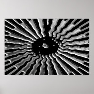 Silver Star - Solära Plexes Poster