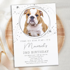 Silver Stars Birthday Personlig Pet Hund Photo Inbjudningar