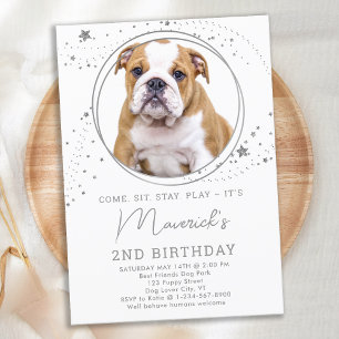 Silver Stars Birthday Personlig Pet Hund Photo Inbjudningar