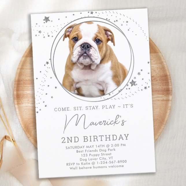 Silver Stars Birthday Personlig Pet Hund Photo Inbjudningar (Skapare uppladdad)
