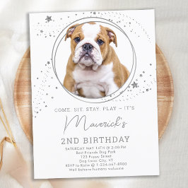 Silver Stars Hund Birthday Personlig Pet Photo Inbjudan Vykort