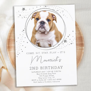Silver Stars Hund Birthday Personlig Pet Photo Inbjudan Vykort