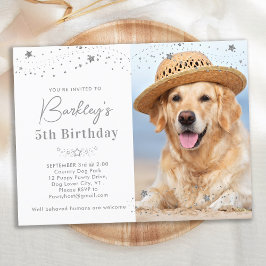 Silver Stars Personlig Pet Photo Hund Birthday Inbjudan Vykort