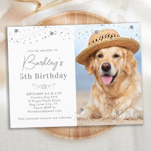 Silver Stars Personlig Pet Photo Hund Birthday Inbjudan Vykort
