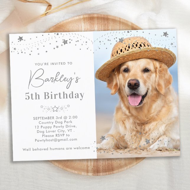 Silver Stars Personlig Pet Photo Hund Birthday Inbjudan Vykort (Skapare uppladdad)