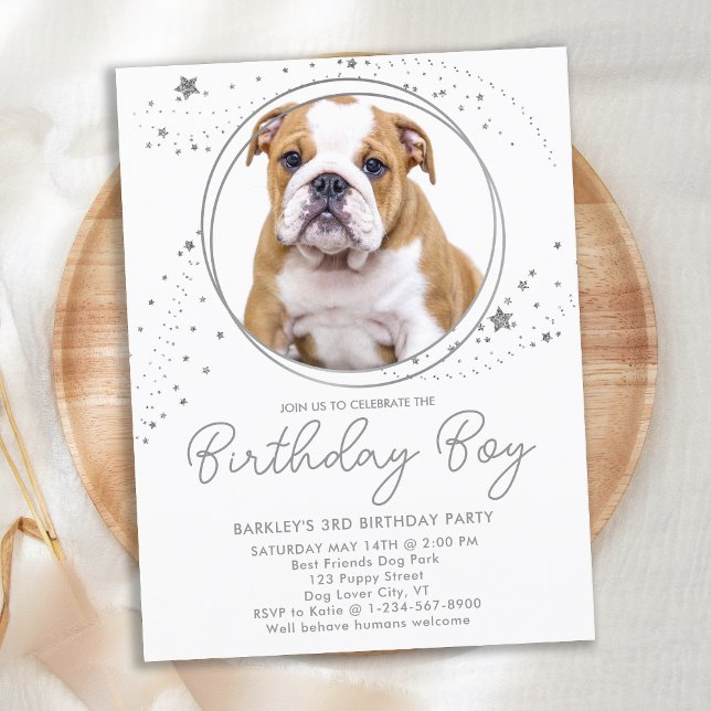 Silver Stars Personlig Pet Photo Hund Birthday Inbjudan Vykort (Skapare uppladdad)