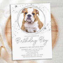 Silver Stars Personlig Pet Photo Hund Birthday