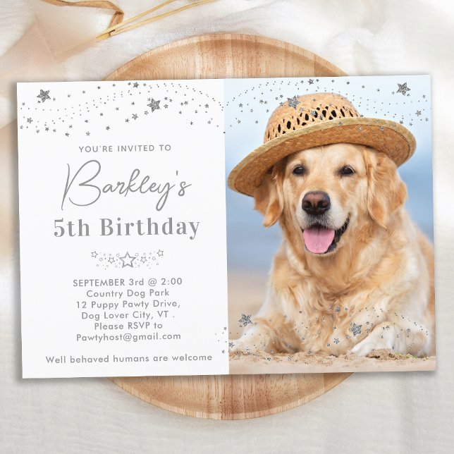 Silver Stars Personlig Pet Photo Hund Birthday Inbjudningar (Skapare uppladdad)