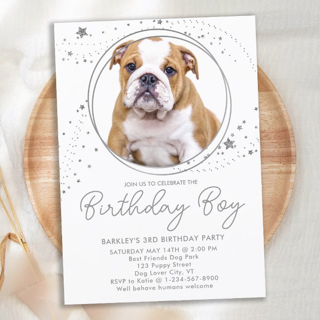 Silver Stars Personlig Pet Photo Hund Birthday Inbjudningar (Skapare uppladdad)