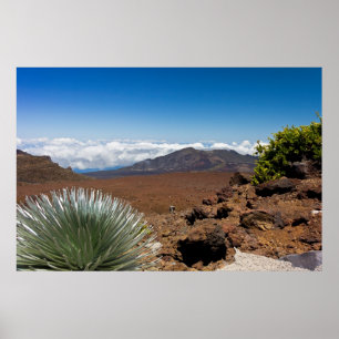 Silver Sword liggande Poster