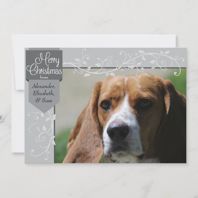 Silver-tabben och blommor julfotkortet julkort (Framsida)