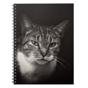 SILVER TABBY KATT ANTECKNINGSBOK