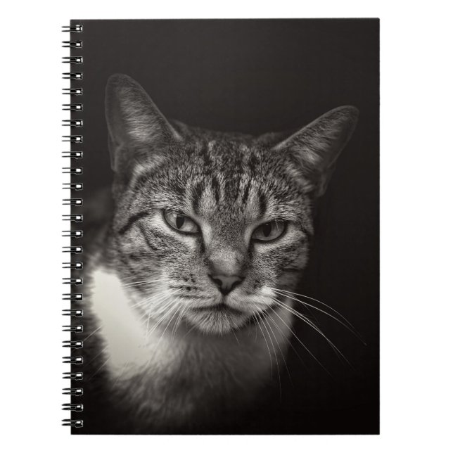 SILVER TABBY KATT ANTECKNINGSBOK (Framsidan)