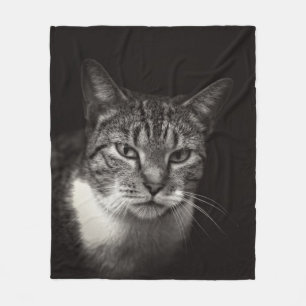 SILVER TABBY KATT FLEECEFILT