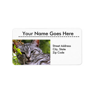 Silver Tabby katt Head Adressetiketters Adressetikett