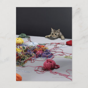 Silver tabby katt klättrar över kant i bord vykort